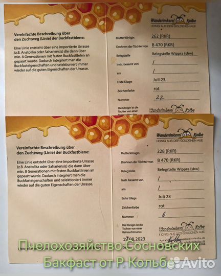 Пчелопакеты Карника, Бакфаст 2025