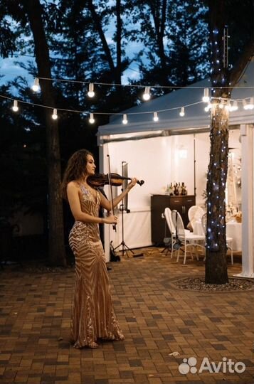 Музыкант. Скрипка-виртуоз. Соло, квартет, оркестр