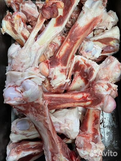 Кости свиные,говяжьи,для собак
