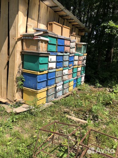 Ульи для пчел