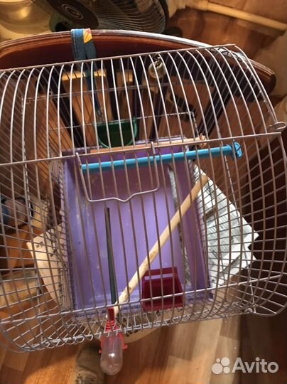 Клетка для попугая бу