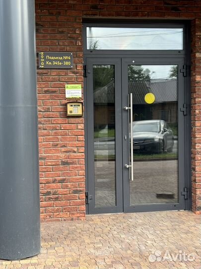 Домашние животные