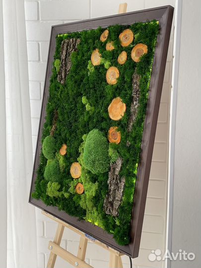 Картина из стабилизированного мха 60х80