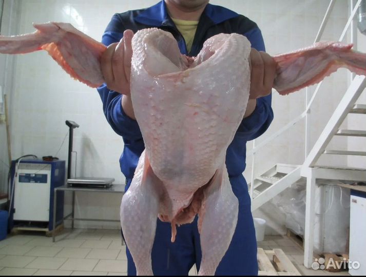 Мясо индюшки