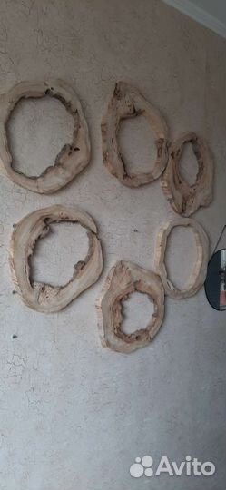 Спилы дерева