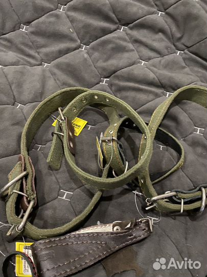 Ошейник и поводок, рулетка