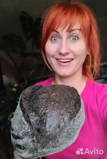 Чёрный хлеб тартин на живой закваске