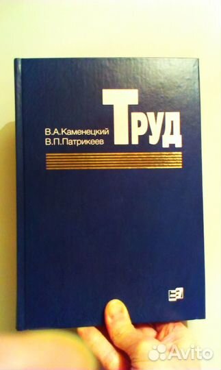 Труд Каменецкий Патрикеев 2004