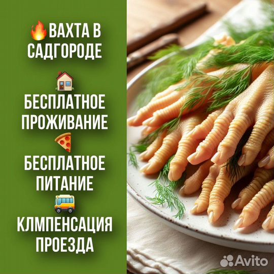 Разнорабочий на птицефабрику вахта в пос.Садгород