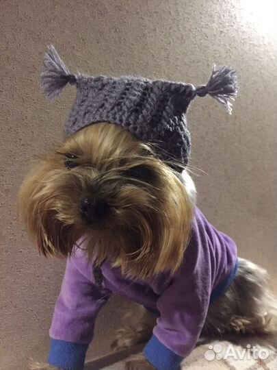 Милые свитеры и комбинезоны на собак