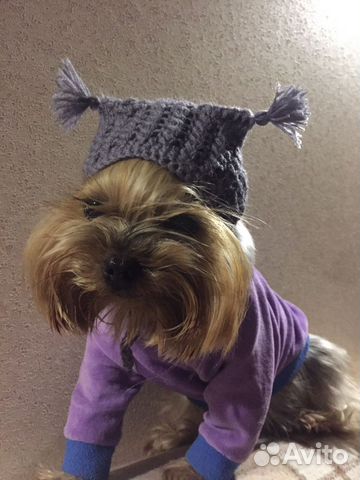 Милые свитеры и комбинезоны на собак