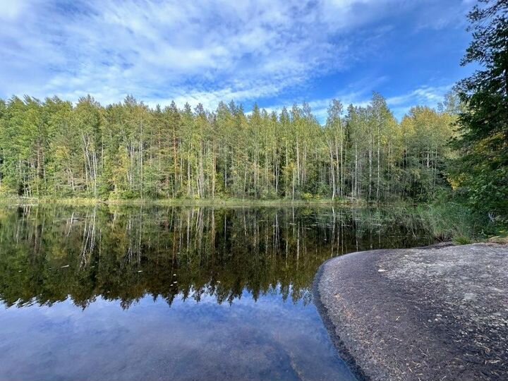 Участок 10 сот. (СНТ, ДНП)