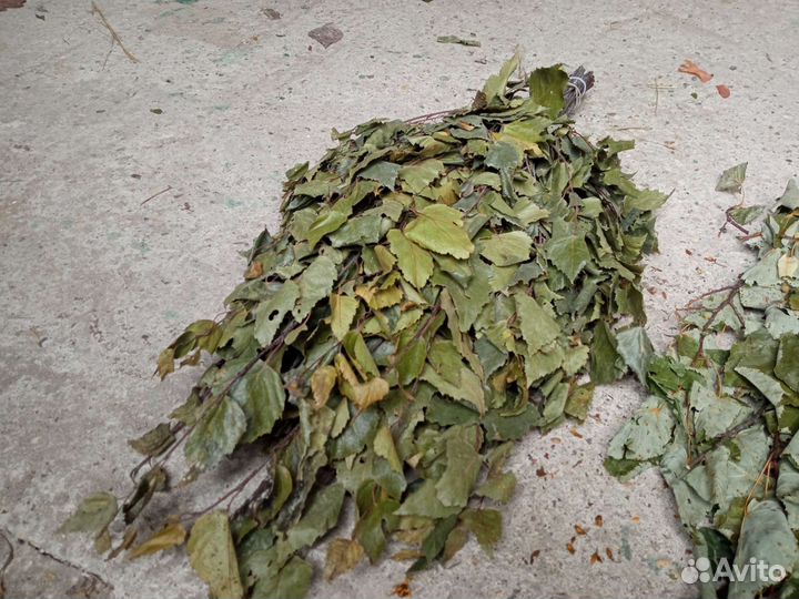 Банные веники