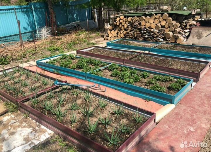 Грядка цветная 1м х 4м х 32см