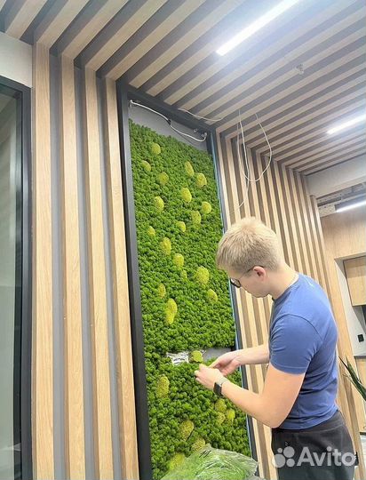 Панели из стабилизированного мха