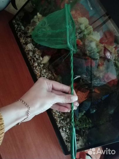 Сачок для аквариума