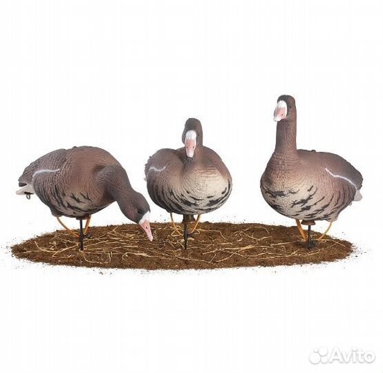 Чучела для охоты гусь softplast А комплект