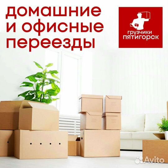 Грузчики / Вывоз мусора / Переезд / Подсобники