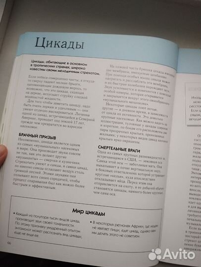 Детская энциклопедия