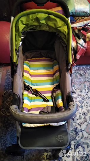 Прогулочная коляска Carolina Xt