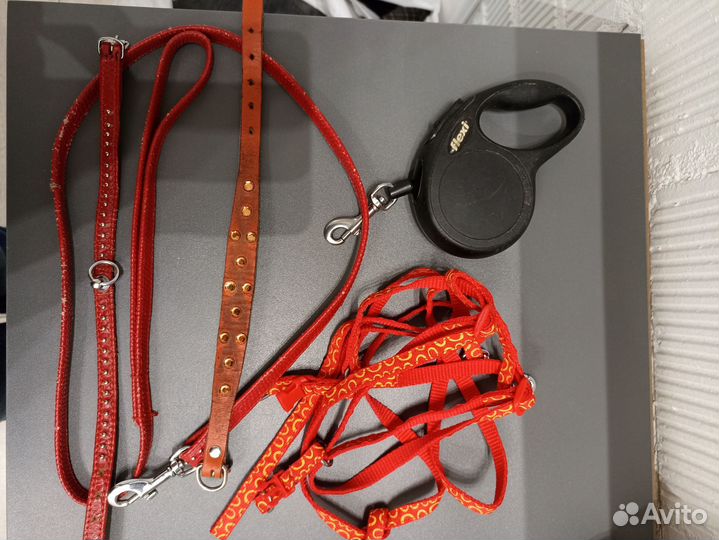 Ошейник и поводок для собаки
