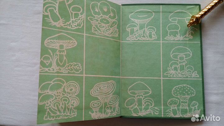 Книга Съедобные грибы Дальн вост Васильева 78 г