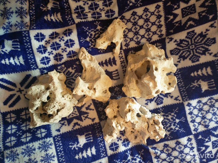 Растения в аквариум, камни для декора