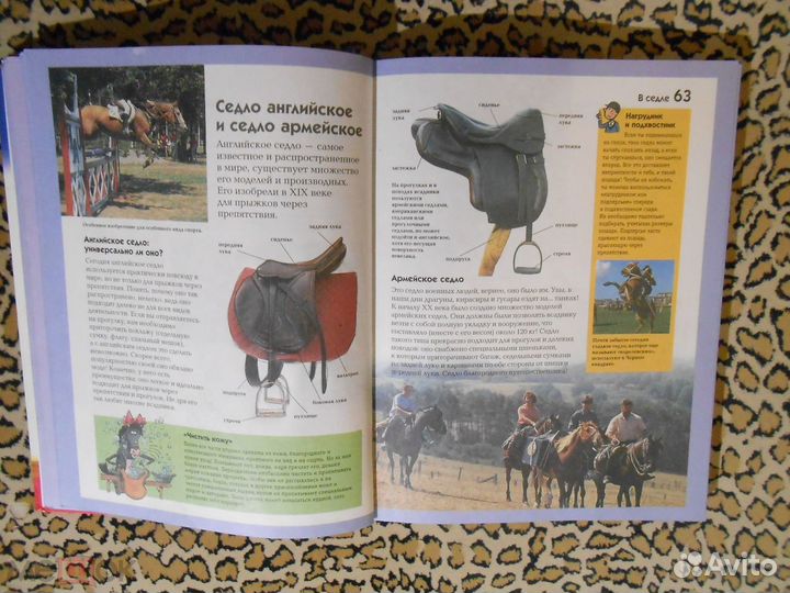 Жан-Франсуа Баллро, Жиль Делаборд - Лошади