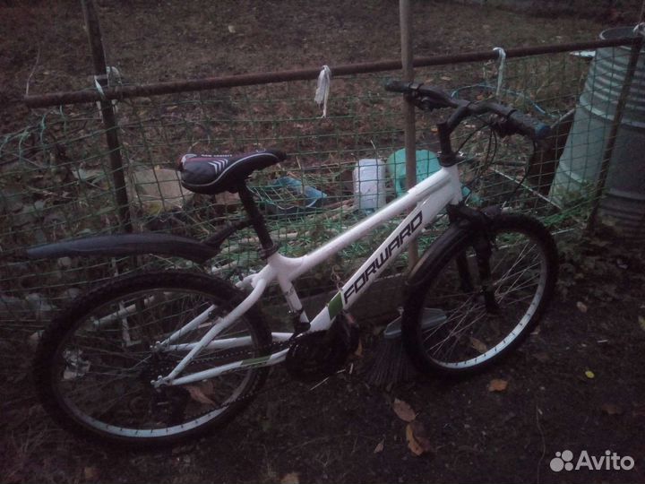 Форвард титан 24