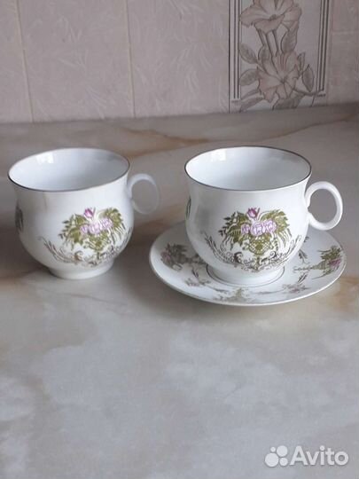 Фарфор лфз, Дулево