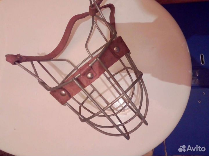 Намордник, цепь для собак