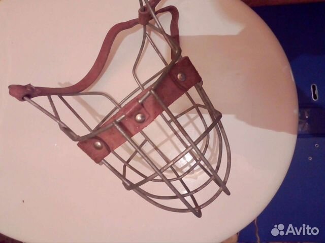 Намордник, цепь для собак