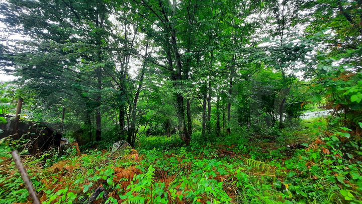 Участок 5 сот. (СНТ, ДНП)