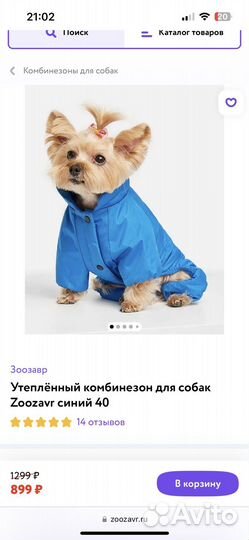 Одежда для собак