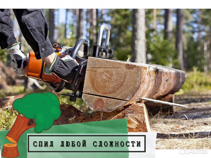 Спил деревьев