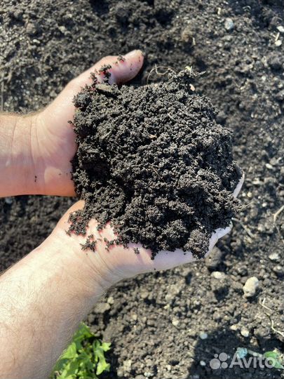 Чернозём,перегной В мешках