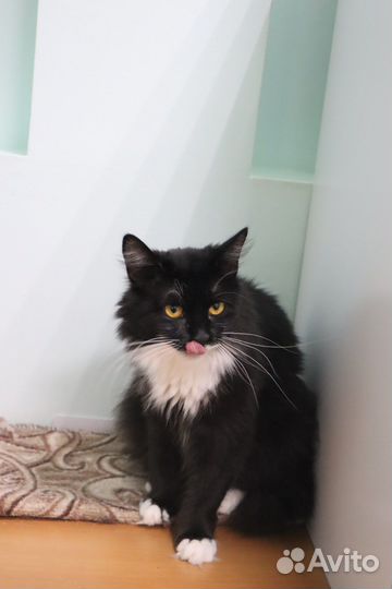 В ожидании семьи