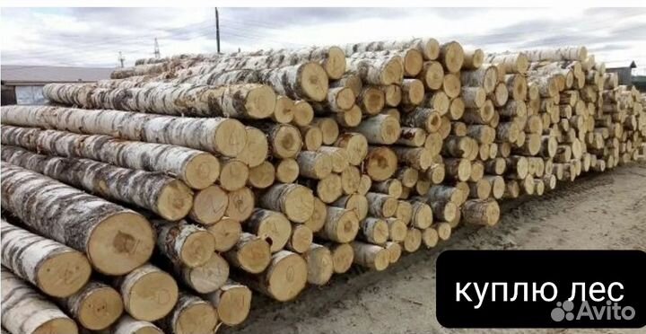 Грузоперевозки (сортиментовоз ) лесовоз