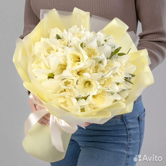 Нарциссы цветы