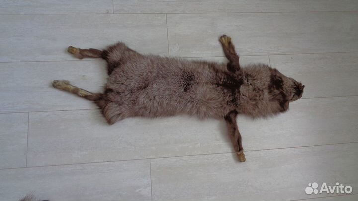 Шкурка песца