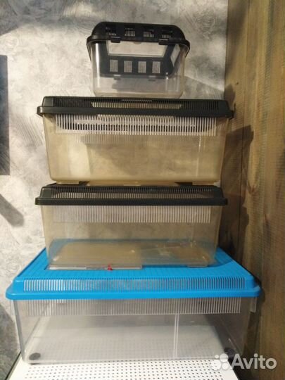 Террариумы Exo Terra и ferplast