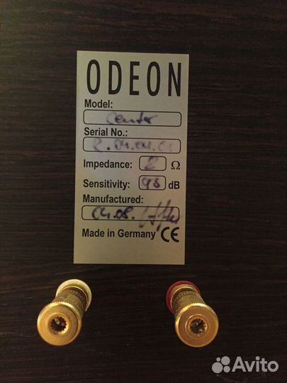 Рупорная акустика Odeon