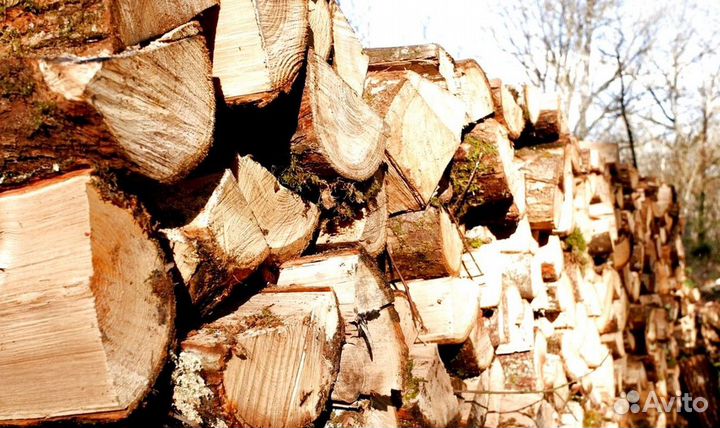 Дрова