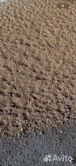 Соя 4-5 тонн оптом