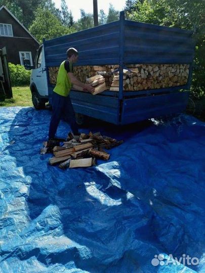 Дрова березовые от производителя