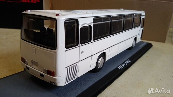 Ikarus 256.54, Ikarus 256.51, Ikarus 250.59