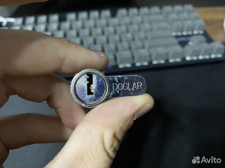 Личинка замка