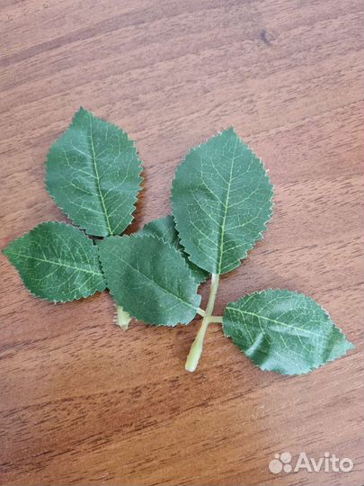 Искусственные листья