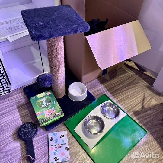 Товары для кошек икеа не икеа