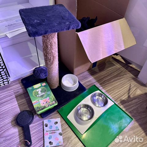 Товары для кошек икеа не икеа